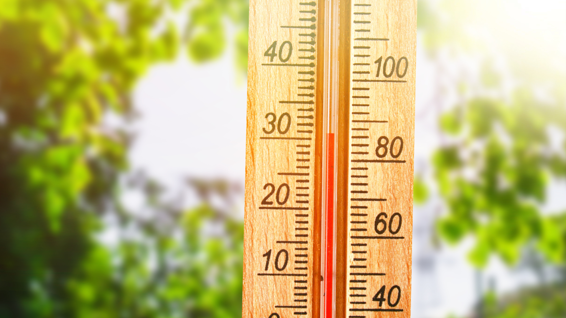 Eine Nahaufnahme eines hölzernen Außenthermometers, das eine hohe Temperatur anzeigt, mit einem unscharfen grünen Blätterhintergrund und hellem Sonnenlicht - das perfekte Wetter, um Ihre Sommer-Wertkarte zu genießen.