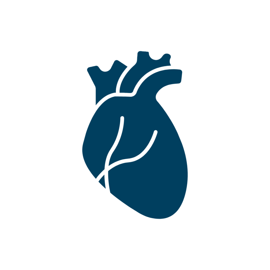 Ein schlichtes blaues Symbol, das ein menschliches Herz mit weißen Linien darstellt, welche die Hauptblutgefäße symbolisieren, auf weißem Hintergrund – ideal zur Veranschaulichung von Gesundheitstipps oder Sauna-Tipps.